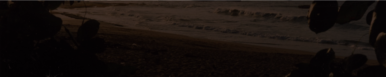 Exploring Aspects of Charlie Parker’s “Confirmation”